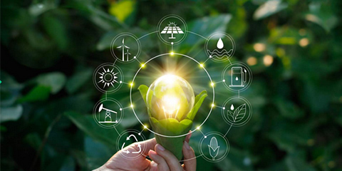 Illustration of a plant from which a glowing light bulb is growing, surrounded by floating symbols that stand for sustainability.