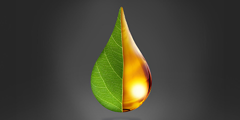 Illustration of a drop consisting of two parts on a dark gray background. The left part of the drop is a green leaf, the right part shows the sun.