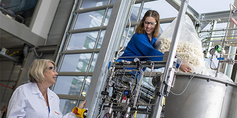 Two employees at a factory work with foam near a machine.