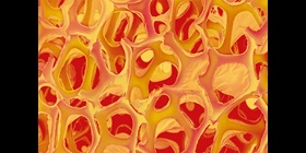 Covestro Supplier Code of Conduct Management Systems