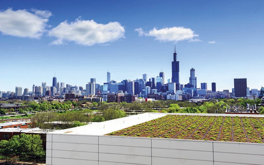 Aufnahme eines grün gelegenen Stadtteils, im Vordergrund ein Gebäude mit Plfanzen auf dem Dach.